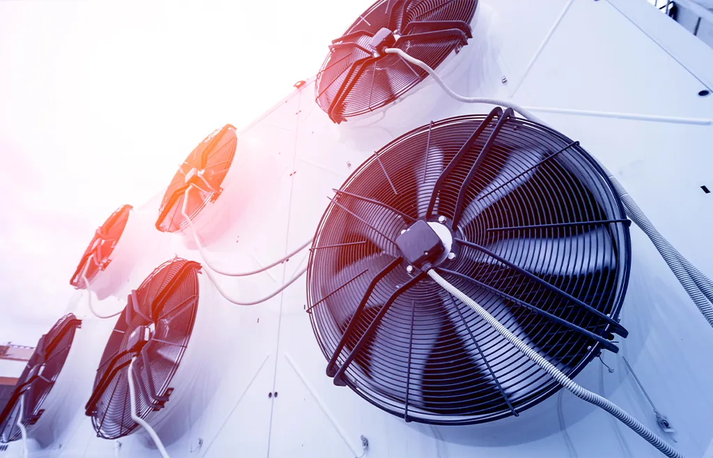 Ideal Standard Produse Certificate International